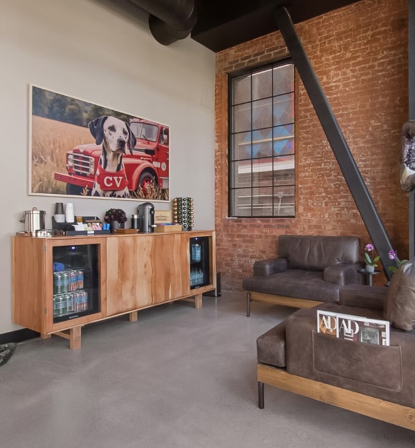 dog after receiving veterinary treatment at Core Vet Animal Hospital in Stamford CT