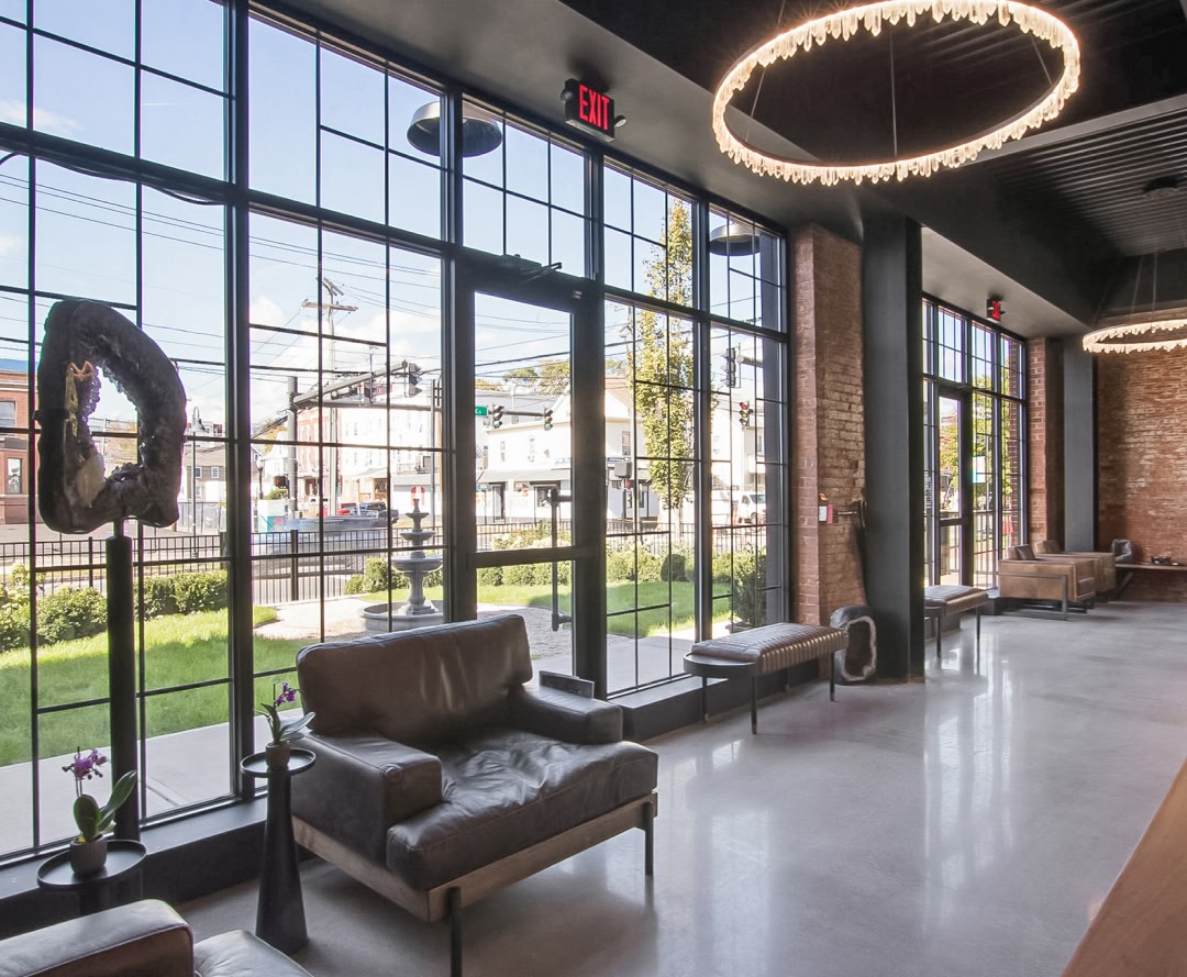 happy kitten after excellent veterinary appointment at Core Vet Animal Hospital in Stamford CT 