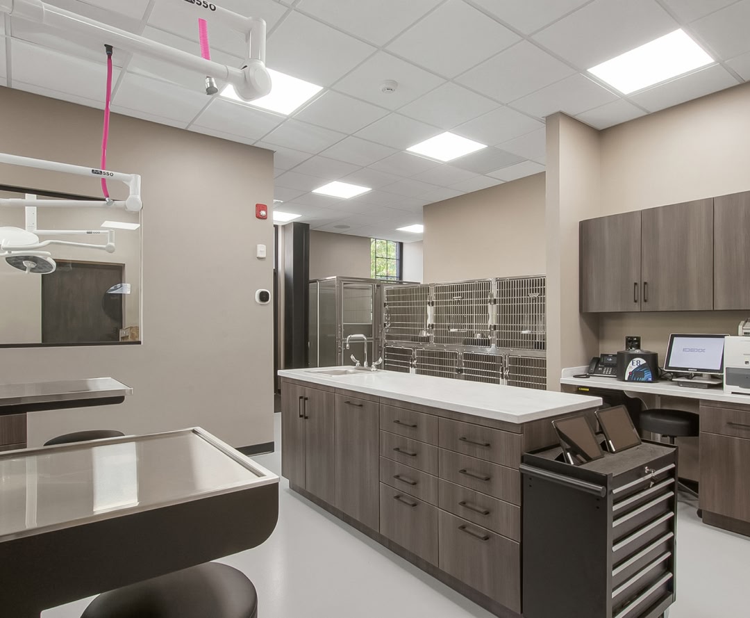 dog at veterinary appointment with Core Vet Animal Hospital in Stamford CT 