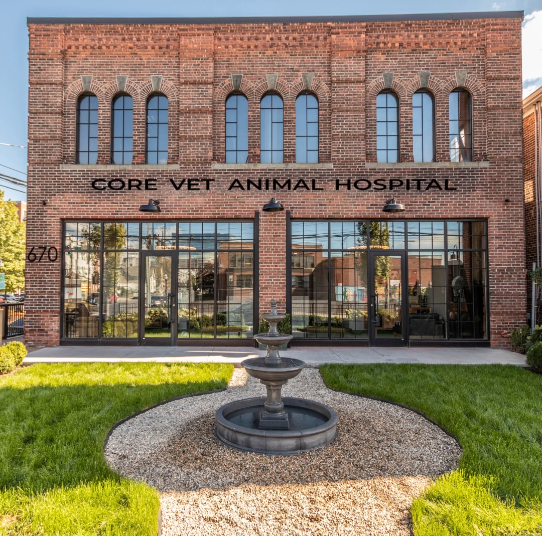 Core Vet Animal Hospital Veterinary Clinic in Stamford CT 